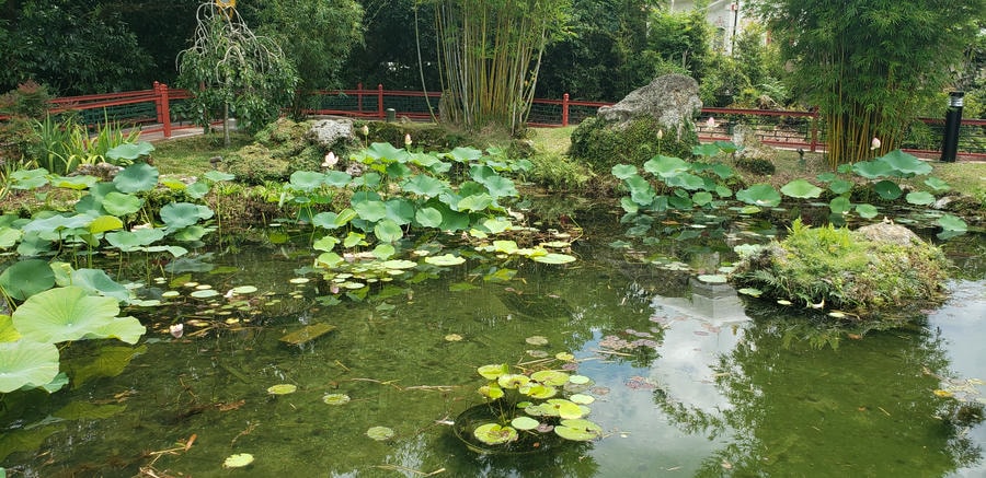 phone pics from florida